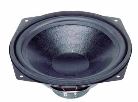 245mm 110W 8ohm Basslautsprecher WS25E 10zoll Tieftöner Exklusiv
