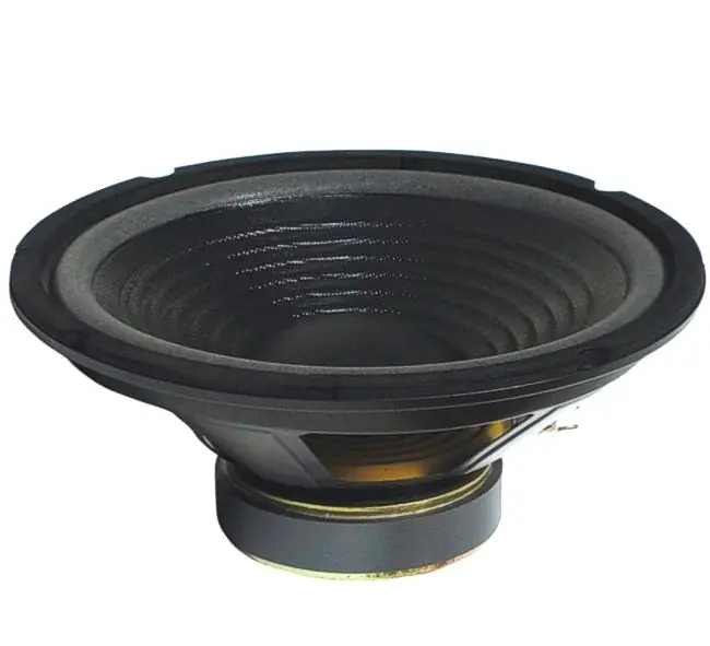 Top-Seller 253mm 10zoll Basslautsprecher 250W 8ohm weiche Sicke