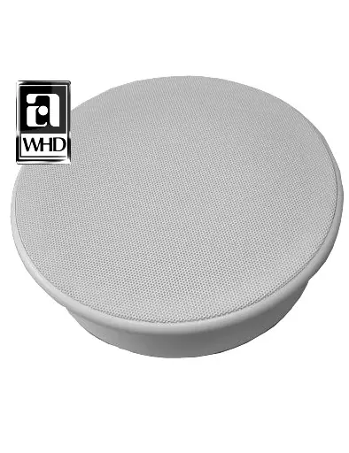Weltweiter Versand 260mm ELA Deckenlautsprecher 80W 8ohm 2wege HiFi mit 100V 25W ELA Trafo UP26-T25
