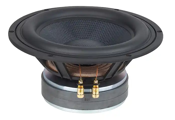 276mm 10zoll Basslautsprecher 300W 8Ohm TIW250XS Top-Angebot