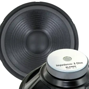 303mm 12zoll 300W 8ohm Basslautsprecher Hifi Tieftöner Ersatzbass Neu Im Sortiment