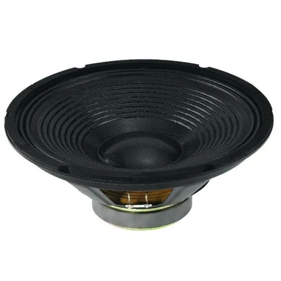303mm 12zoll Basslautsprecher 200W 8ohm SP302PA Limited Edition