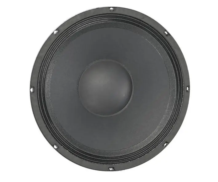 305mm 12zoll Basslautsprecher 500W 8ohm Beta 12A Knallerangebot