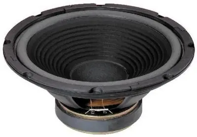 Original 310mm 12zoll Basslautsprecher 200W 8ohm HiFi Bass SP300P