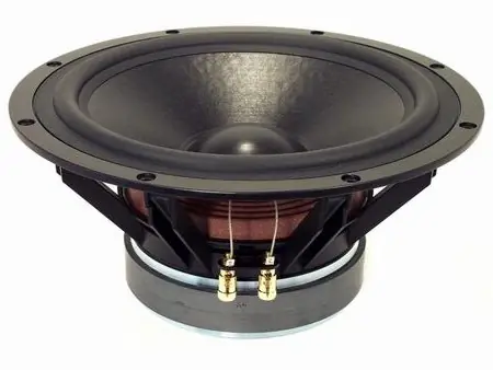 329mm 12zoll 600W 8ohm Basslautsprecher Tieftöner TIW300 Echt
