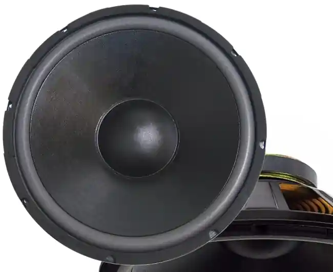 383mm 15zoll 350W 8ohm Basslautsprecher 38cm weiche Sicke HiFi Tieftöner Sale