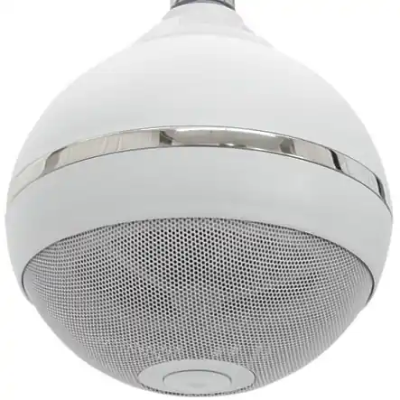 Kugellautsprecher 210mm 15W 8-Ohm 2-wege System WCP6 mit 100V Übertrager Weiss Top-Seller