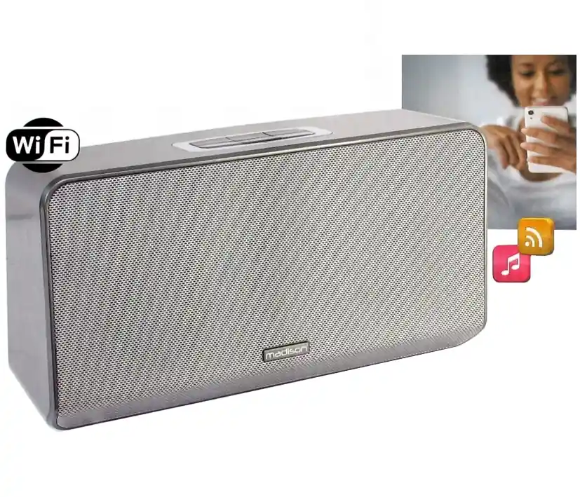 WLAN Lautsprecher 100Watt mit LAN und WIFI APP und USB Player MAD-LINK Preis Gesenkt