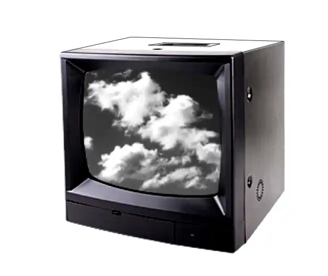 Geprüft Überwachungsmonitor SW 229mm (9zoll) 230V BNC Kamera Monitor Bildschirm