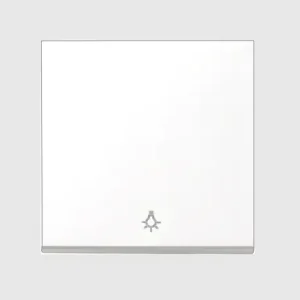 Ausverkauf 1-fach Wippe Blende 50x50mm mit LICHT-SYMBOL Reinweiss Meridian