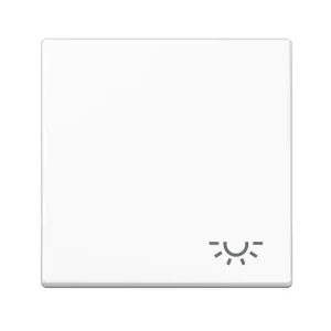 Jung 1-fach Wippe Blende Schalterabdeckung 55x55mm mit Lichtsymbol Günstig
