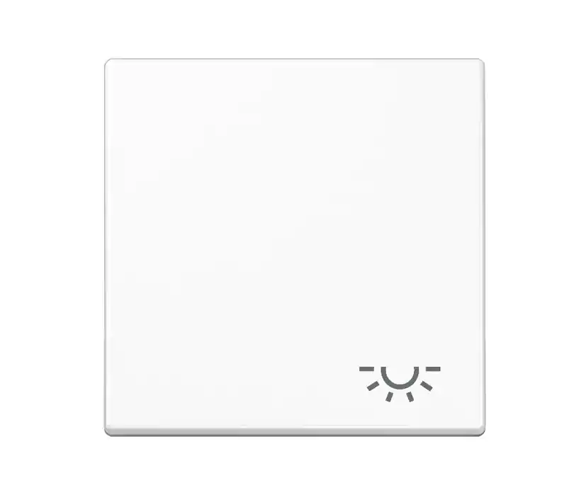 Jung 1-fach Wippe Blende Schalterabdeckung 55x55mm mit Lichtsymbol Günstig