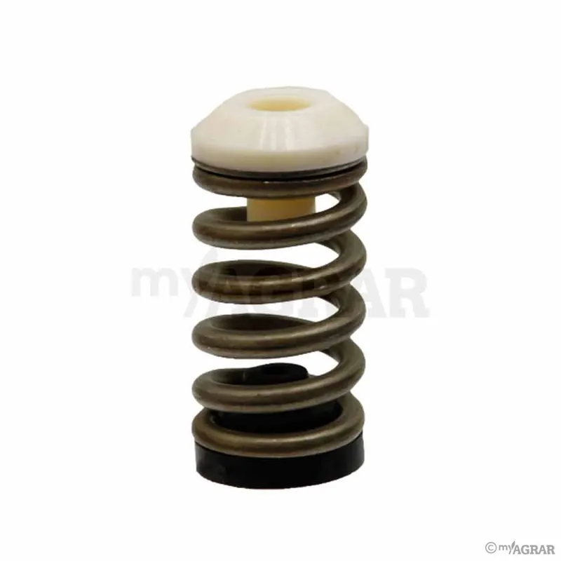 Sichere Zahlung Hardi Druckregulierungsfeder 712401