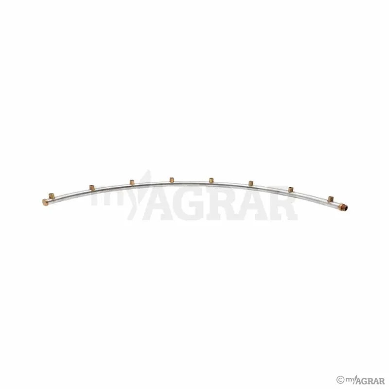 Saisonangebot Braglia Stange