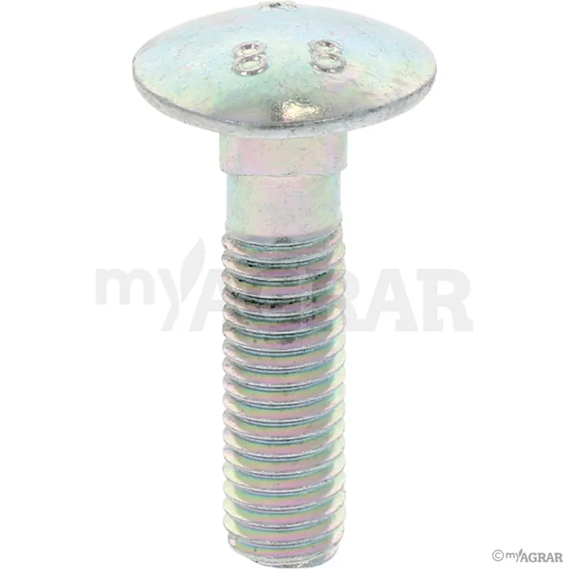 Beliebt Maschio Schraube F01060076R