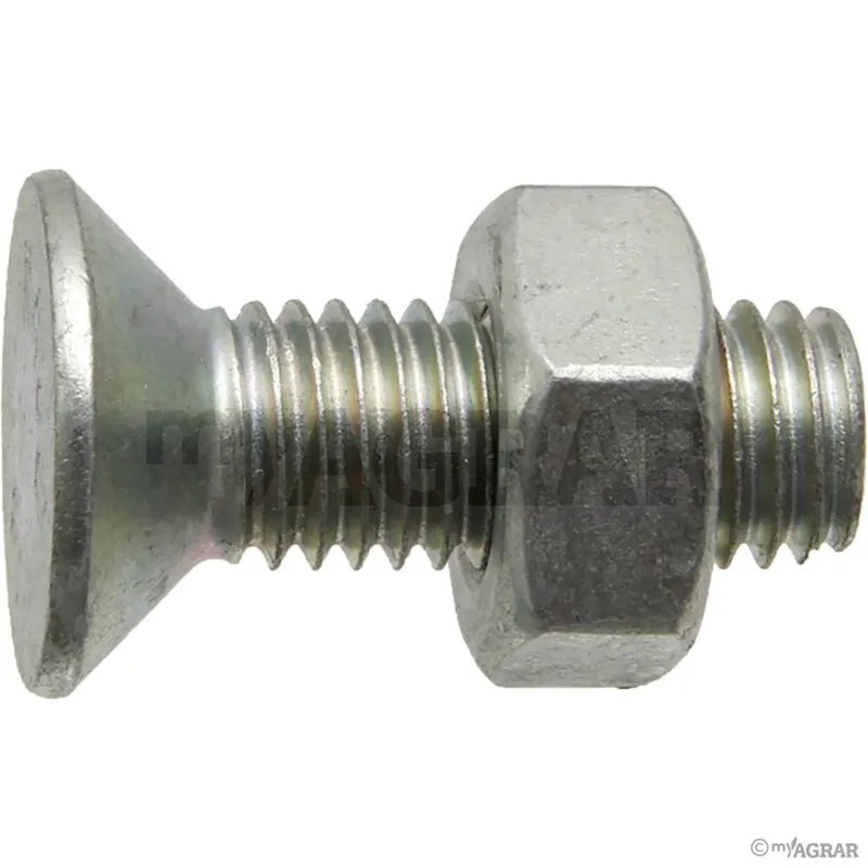 Neu GREGOIRE BESSON Schraube + Mutter 051805