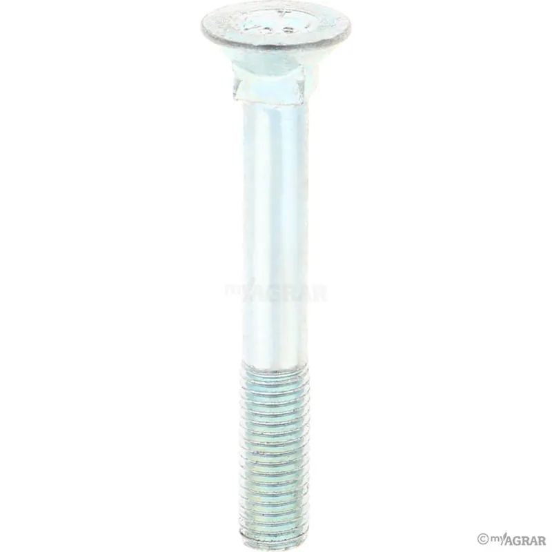 Maschio Schraube F01060129R M12 x 1,75 x 90, 10.9 Günstig