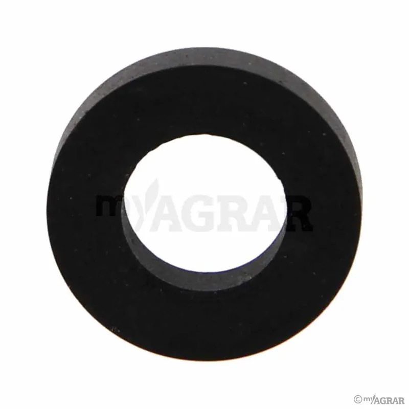 Lechler Dichtung YG00002020 Gratis Versand