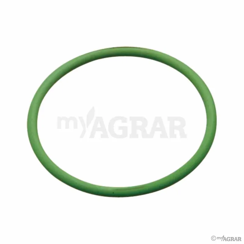 ARAG O-Ring G10071V Geld-Zurück-Garantie
