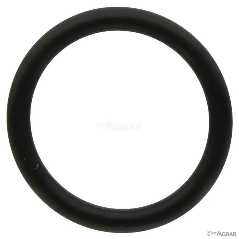 Angebot Annovi Reverberi O-Ring