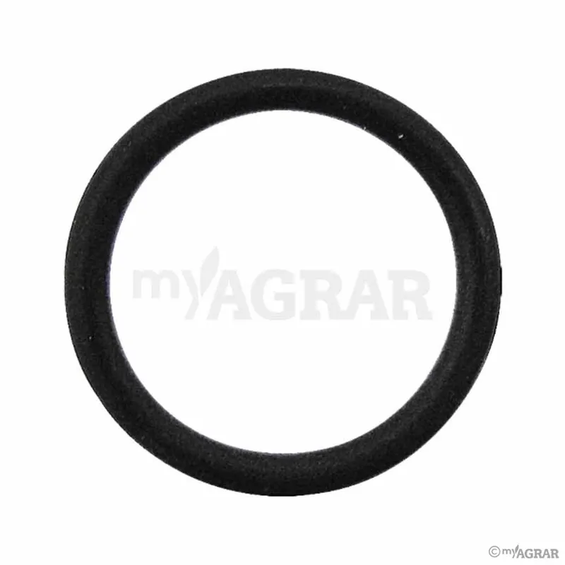 Begrenztes Angebot Amazone O-Ring FC168
