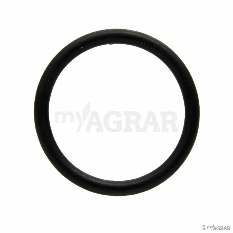 Holder O-Ring Top-Preis