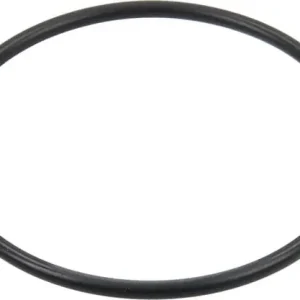 Günstig O-Ring (650920)