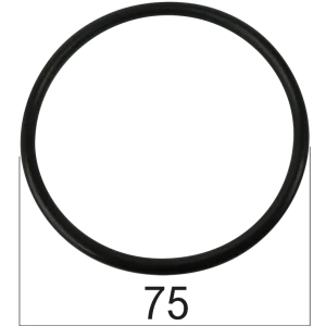 O-Ring für Deckel Hubwerk Steyr Sofort Bestellen
