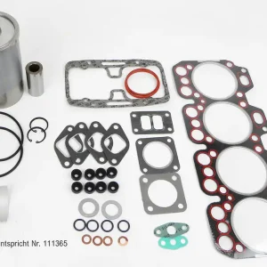 Motorreparatursatz zu Steyr Motor WD411 Beliebt