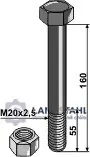 Echt Schraube mit Sicherungsmutter - M20 x 2,5 - 10.9