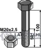 Echt Schraube mit Sicherungsmutter - M20 x 2,5 - 10.9