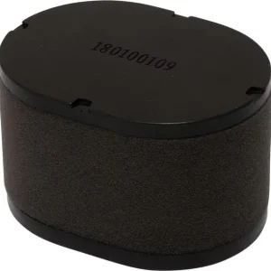 Luftfilter - AL-KO - Luftfilter oval - 418110 Begrenztes Angebot