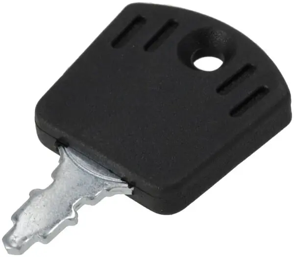 Zündschlüssel - AL-KO - Zündschlüssel OE - 1182100161 Schneller Versand