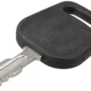 Letzte Chance Zündschlüssel - AL-KO - Zündschlüssel OE - 1188301260
