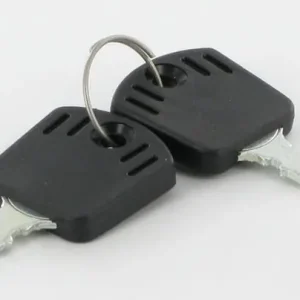 Must-Have Zündschlüssel (2 Stück) - AL-KO - Zündschlüssel OE - ET28388